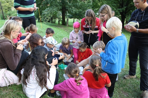 Obrázek v galerii